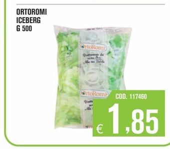 Ortoromi iceberg g 500