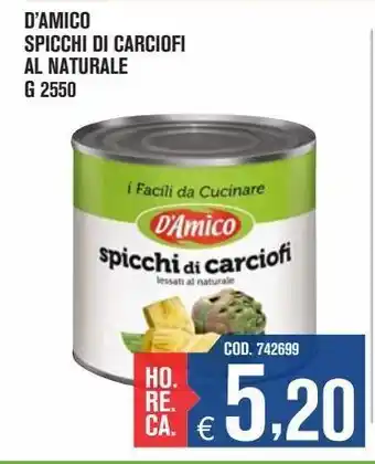 D'amico spicchi di carciofi al naturale g2550