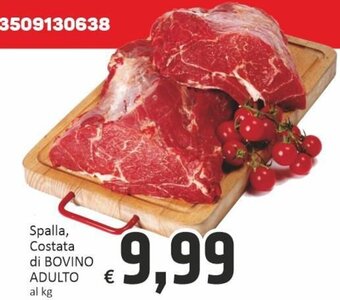 Paghi Poco Spalla, Costata di Bovino Adulto offerta