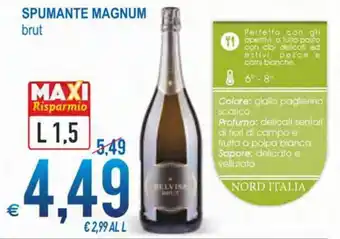 MD Discount Magnum Spumante brut L 1,5 offerta