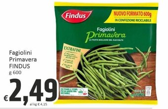 Paghi Poco Findus Fagiolini Primavera 600 g offerta