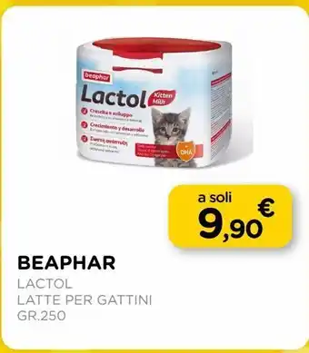 Arcaplanet Beaphar / lactol / latte per gattini / gr.250 offerta