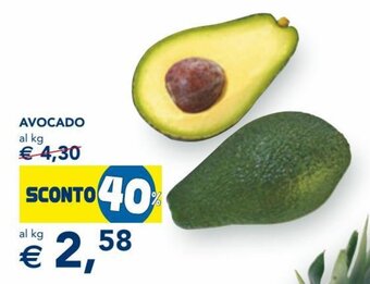 Esselunga Avocado offerta