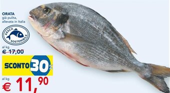 Esselunga Orata offerta
