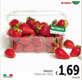Spazio Conad Fragole 500 g offerta