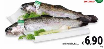 Spazio Conad Trota Salmonata offerta
