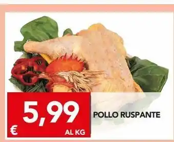 Pollo ruspante