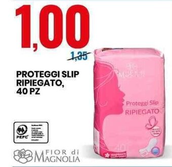 Eurospin Fior di Magnolia Proteggi Slip Ripiegato, 40 pz offerta