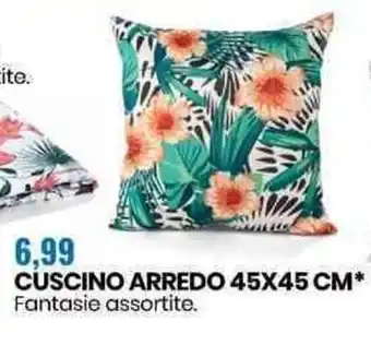 Eurospin Cuscino Arredo 45x45 cm offerta