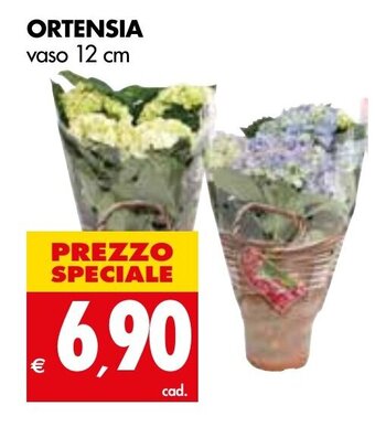 Tigros Ortensia vaso 12 cm offerta