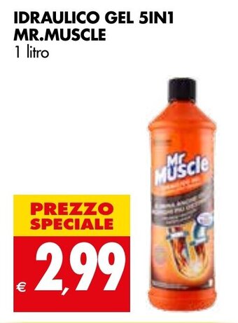 Tigros Mr. Muscle Idraulico Gel 5in1 1 litro offerta