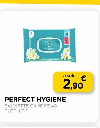 Arcaplanet Perfect hygiene salviette cane pz.40 tutti i tipi offerta