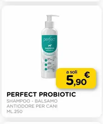 Arcaplanet Perfect probiotic shampoo - balsamo antiodore per cani ml.250 offerta