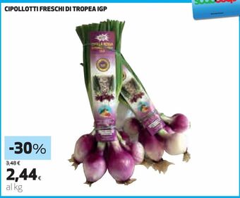 Coop Cipollotti freschi di tropea igp offerta