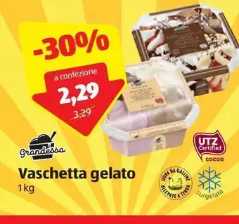 ALDI Vaschetta gelati grandessa 1 kg offerta