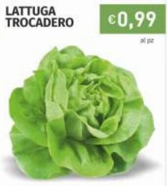 Prezzemolo e Vitale Lattuga Trocadero offerta