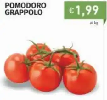 Prezzemolo e Vitale Pomodoro Grappolo offerta