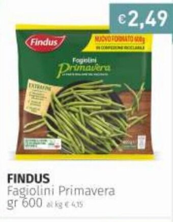Findus Fagiolini Primavera gr 600