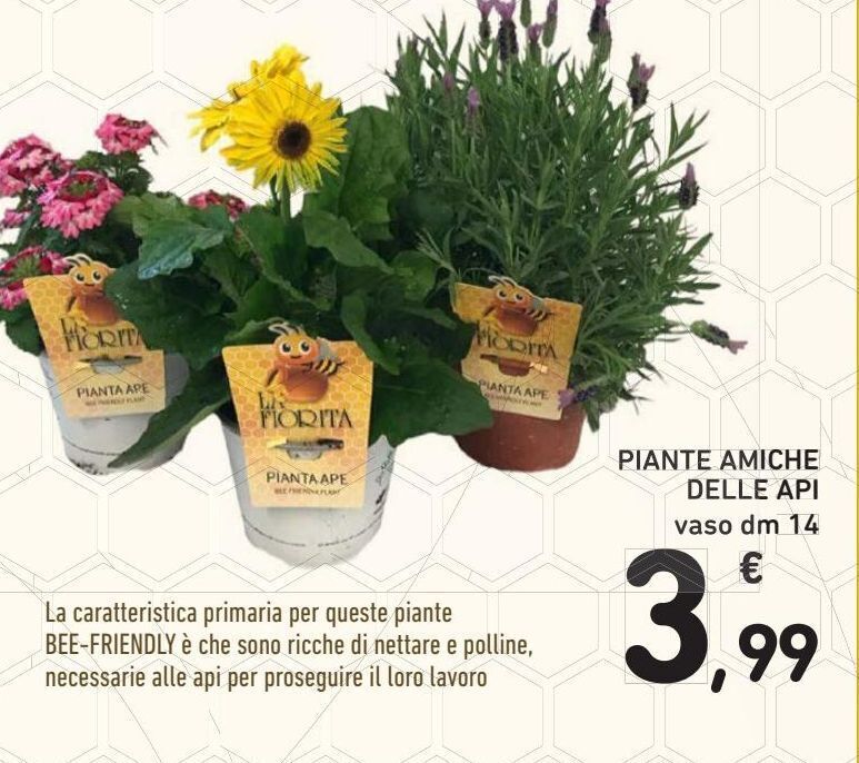 Piante Amiche Delle Api Offerta Di Conad