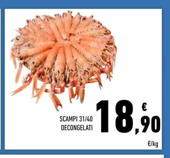 Conad Scampi 31/40 decongelati offerta