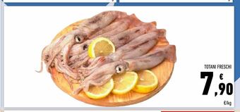 Conad Totani freschi offerta