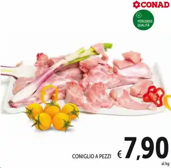 Spazio Conad Conad Coniglio a Pezzi offerta