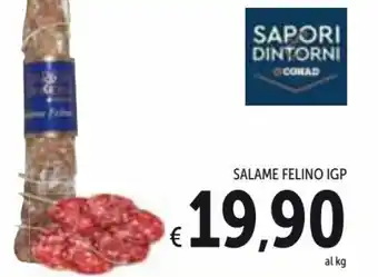 Sapori & Dintorni Conad Salame Felino IGP