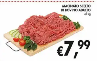 Macinato scelto di bovino adulto