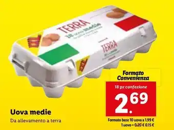 Lidl Uova medie da allevamento a terra 18pz offerta