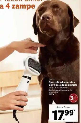 Lidl Zoofari spazzola ad aria calda per il prlo degli animali offerta