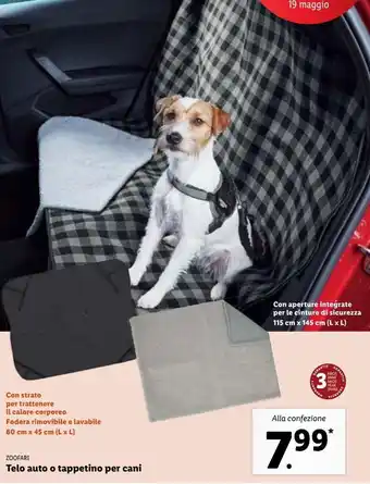 Lidl Zoofari telo auto o tappetino per cani offerta