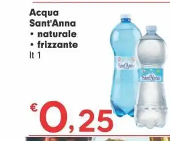 Acqua sant'anna naturale, frizzante l 1