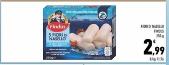 Conad City Fiori di nasello findus offerta