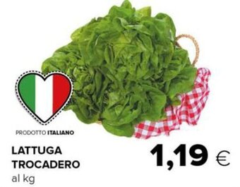 Oasi Lattuga Trocadero offerta