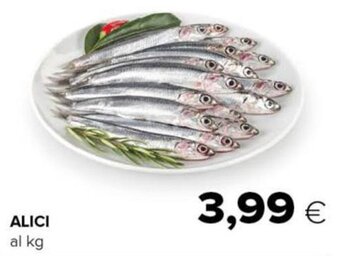 Oasi Alici offerta