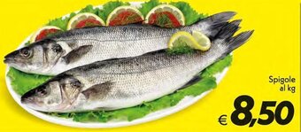 Iper Super Conveniente Spigole offerta