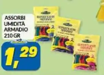 Risparmio Casa Assorbi Umidita Armadio 210 gr offerta