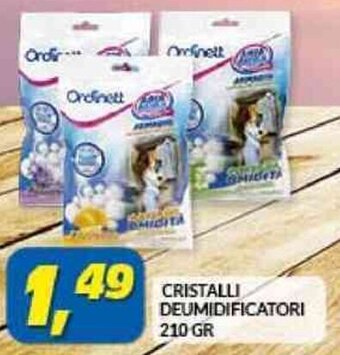 Risparmio Casa Ordinett Cristalli Deumidificatori 210 gr offerta