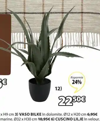 JYSK Piante offerta
