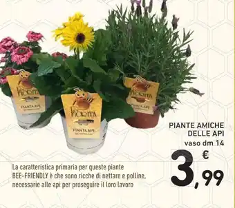 Conad Superstore Piante amiche delle api offerta