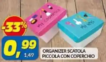 Risparmio Casa Organizer Scatola Piccola Con Coperchio offerta