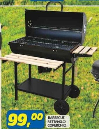 Barbecue Rettang.C/Coperchio