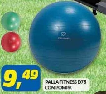 Risparmio Casa Palla Fitness D75 Con Pompa offerta