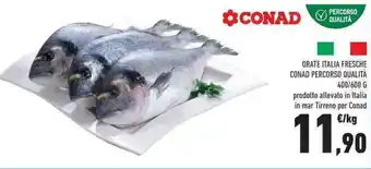 Conad Conad Percorso Qualità Orate Italia Fresche 400/600 g offerta