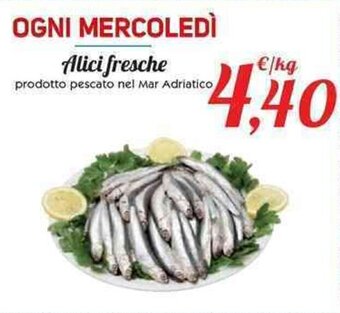 Conad Alici fresche offerta