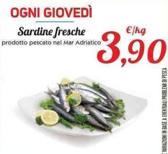 Sardine fresche