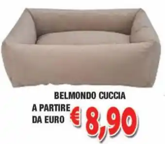 Belmondo Cuccia A Partire Da Euro