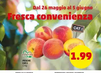 PENNY Pesche cat.i offerta