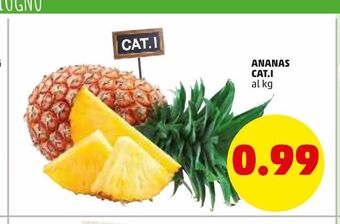 PENNY Ananas cat.i offerta
