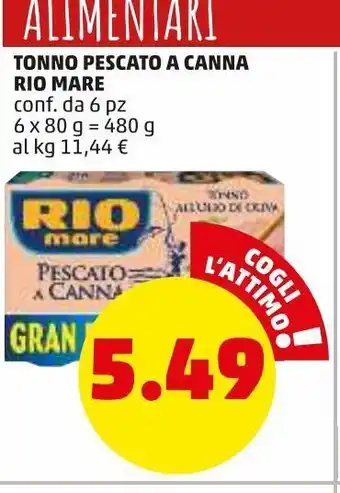 PENNY Tonno pescato a canna conf. da 6pz rio mare offerta
